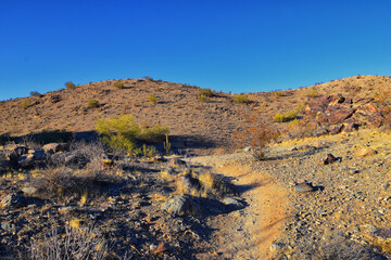 South Mountain Park and Preserve, Pima Canyon Hiking Trail, Phoenix, Southern Arizona desert. United States.