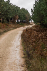 Scenes from the Camino de Santiago as it passes through Montes de Oca, province of Burgos, Spain