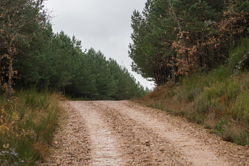 Scenes from the Camino de Santiago as it passes through Montes de Oca, province of Burgos, Spain