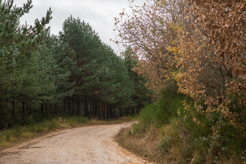 Scenes from the Camino de Santiago as it passes through Montes de Oca, province of Burgos, Spain