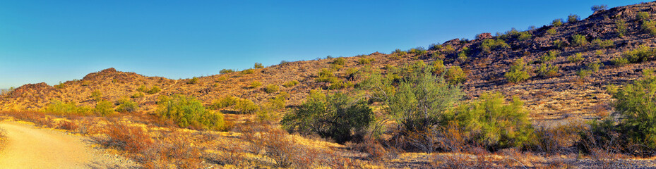 South Mountain Park and Preserve, Pima Canyon Hiking Trail, Phoenix, Southern Arizona desert. United States.
