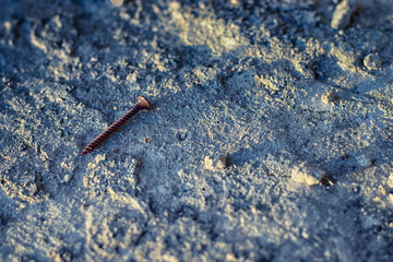 Rusty Screw in the Sand at a Construction Site