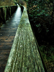 A vertical shot of the wooden handrail in tha park under the green light