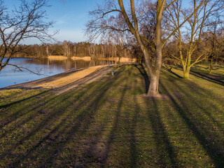 Kahler Baum am Ufer des Silbersees in Langenhagen