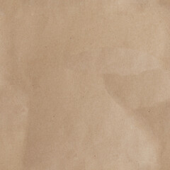 Fototapeta na wymiar seamless cardboard texture 1x1. High quality