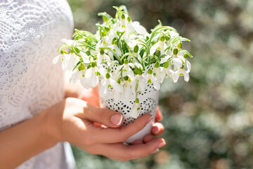 Beautiful female hands with french manicure holding bouquet of spring flowers - snowdrops