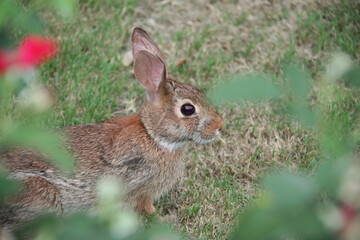 It's safer to blend in