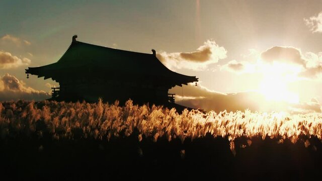 夕日に輝く平城京跡のススキと朱雀門