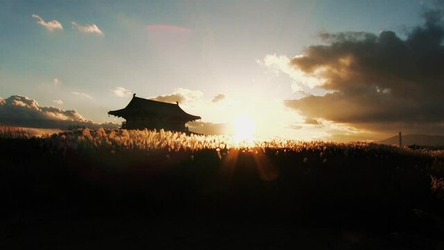 夕日に輝く平城京跡のススキと朱雀門