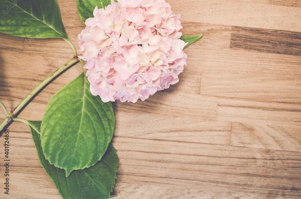 Poster A top view shot of a beautiful Hydrangea flower on a wooden table