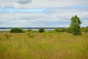 Fototapeta premium Summer landscape by the sea with green meadow grass, beautiful cloudy skies and green vegetation on the horizon.