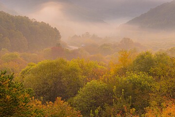 강원도 인제 비밀의 숲 정원