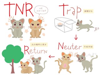 Obraz na płótnie Canvas 地域猫TNRのイラストのセット
