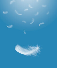 Abstract, Light white feathers falling down in the sky.