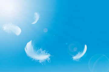 Abstract, Light white feathers floating in the sky. 