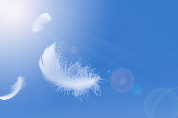 Abstract, Light white feather floating in the sky. 