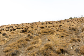 Tochal mountain ridge with rocks and trees in autumn against blue sky, Tehran, Iran. Tochal is a popular recreational region for Tehran's residents