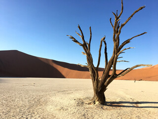 Unique desert landscape in Sossusvlei, Namibia