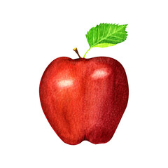 Watercolor illustration of red apple with green leaf.Isolated on white background. Can be used as poster,pattern for embroidery, greeting card, sticker, print on textiles and other souvenir products.