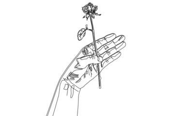 一輪の薔薇を持った手のシンプルな線画イラスト【はがきテンプレート】