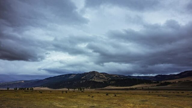 Time-lapse - Bison herd parades in the grasslands with mountain landscape with cloudy sky at Yellowstone National Park, Wyoming, U.S.A.