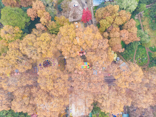 Hubei Wuhan Zhongshan Park late autumn aerial scenery