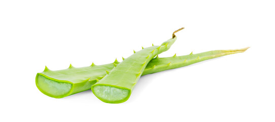 Obraz premium Aloe vera slice isolated on white background.