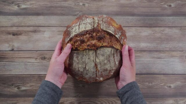 Flat lay. Baking homemade sourdough wheat bread in cast iron dutch oven.