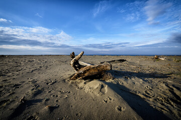 Tuscan Seascapes, paradise is next 