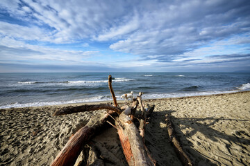 Tuscan Seascapes, paradise is next 