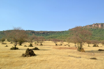 India, rohtambor nature reserve, landscape

