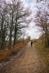 Vifranca Montes de Oca, Spain, January 10, 2019: Scenes from the Camino de Santiago as it passes through Montes de Oca, province of Burgos, Spain