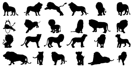 A set of silhouettes of different lion breeds isolated on white background © Anna Kaczor/Wirestock