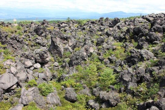 鬼押し出し園。1783年におきた浅間山の噴火の際に流れ出た溶岩でできた景勝地。