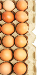 Top view a bunch of raw chicken eggs in tray isolated on white background with copy space.