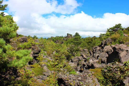 鬼押し出し園。1783年におきた浅間山の噴火の際に流れ出た溶岩でできた景勝地。