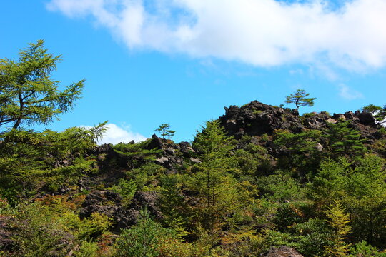 鬼押し出し園。1783年におきた浅間山の噴火の際に流れ出た溶岩でできた景勝地。