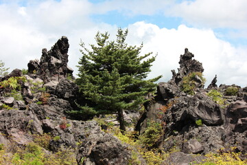 鬼押し出し園。1783年におきた浅間山の噴火の際に流れ出た溶岩でできた景勝地。