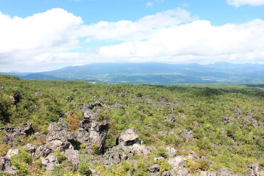 鬼押し出し園。1783年におきた浅間山の噴火の際に流れ出た溶岩でできた景勝地。