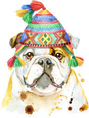 Watercolor portrait of bulldog in chullo hat