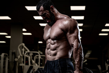 Fototapeta na wymiar heavy training of bearded man in sport gym pumping iron with effort