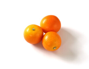 キンカン 11　白背景