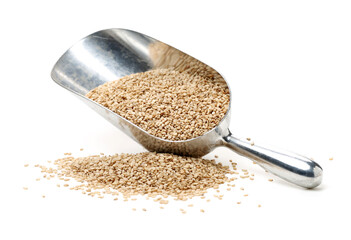 sesame seeds on white background