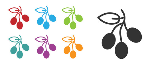 Fototapeta premium Black Olives branch icon isolated on white background. Set icons colorful. Vector.