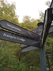 Marking sign (guide) in park with huge spider's web
Spider is not included