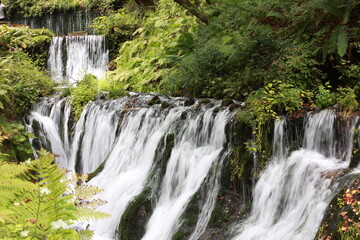 白糸の滝　　長野県北軽井沢。　川の水が流れ落ちるのでなく、湧水が岩からしみ出て何本もの糸のような滝となり、独特の景観となる。