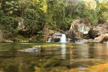 Fototapeta premium river in the forest