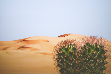 Desert in the background with cactus in the foreground