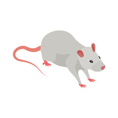 Medical Rat Illustration