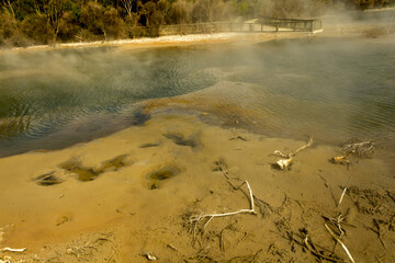 Geothermal lake with boiling mud pool in Wai-O-Tapu thermal wonderland, Rotorua, North Island of New Zealand. Rotorua area is well known for geothermal activity, geysers and hot mud pools